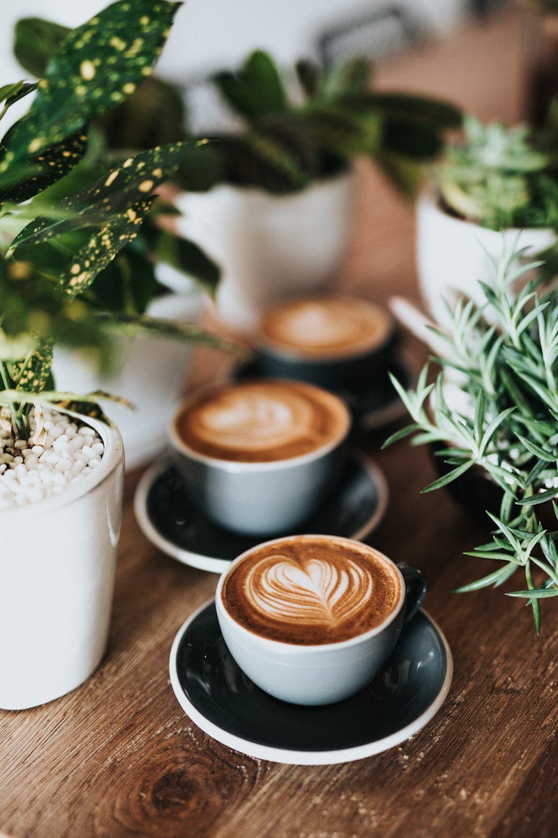 Java Burn Review: The World’s First Coffee-Boosting Weight Loss Formula