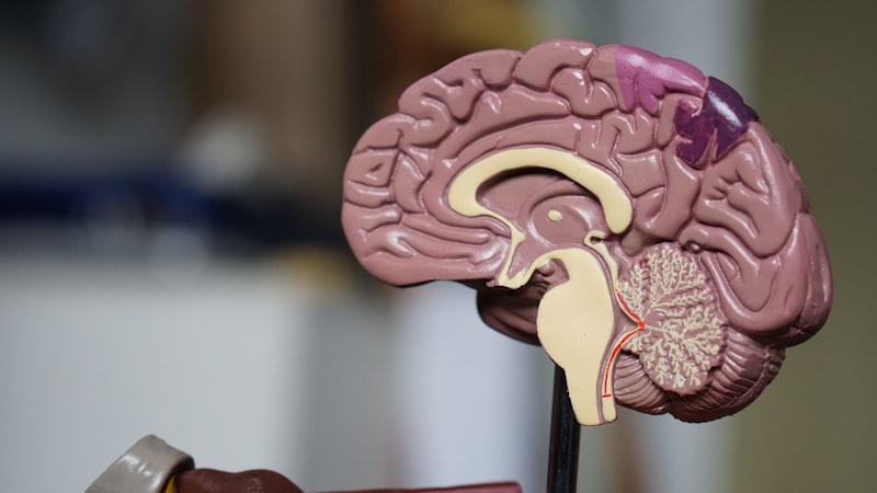 Nerve Armor Review: A Natural Approach to Nerve Pain Relief