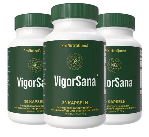 VigorSana - Premium Men's Performance & Vitality Supplement